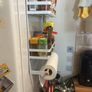 Magnetic spice rack - perfect for small spaces Image 2