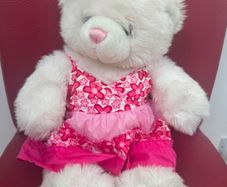 Build a Bear