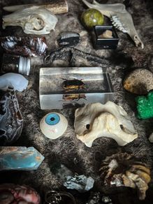 Spectacular 12 Days of Christmas Advent Calendar Mystery Surprise Oddities and Curiosities Witchy Style Gift Christmas Yule