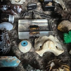 Spectacular 12 Days of Christmas Advent Calendar Mystery Surprise Oddities and Curiosities Witchy Style Gift Christmas Yule