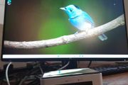 Intel NUC Mini PC - i5 | 16GB RAM | Compact Setup