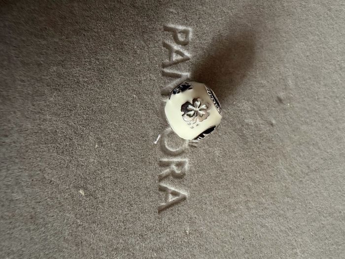 Pandora charm