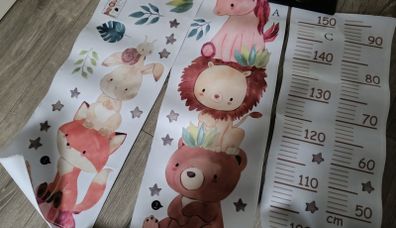 Kids Height measurement wall sticker