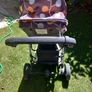buggy Image 2