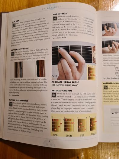 Guitar Facts. 242 Of Indispensable A-z Guide Of Everything  Guitar.