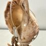 Unique seashell lamp Image 3