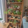 Beautiful Hemnes bookcase (discontinued) Image 4