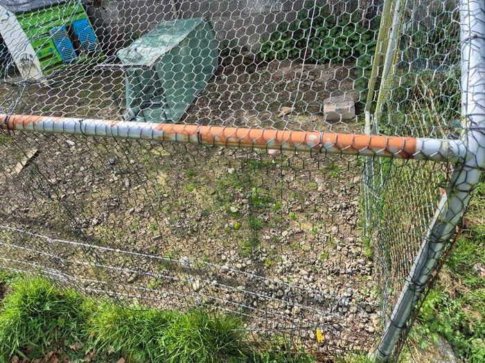 Chicken run,rabbit run