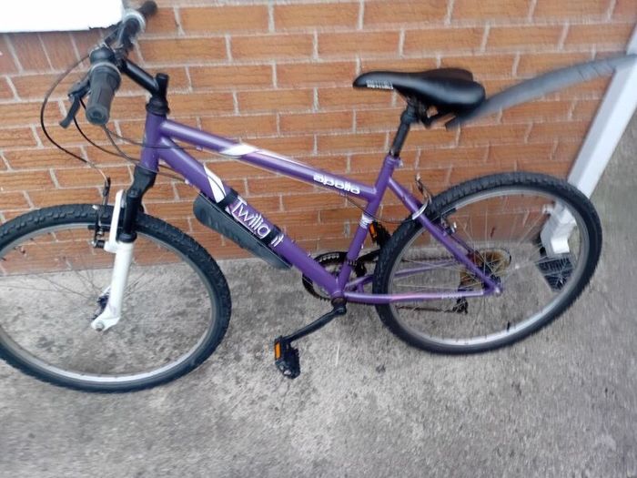 adults mountain bike