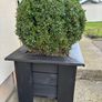 box planters Image 2