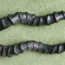 Antique Black Buck Horns 1800's Rare Horns Length 22" Image 2