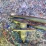 MK2 Mitsubishi Pajero Wiper Linkage Image 6