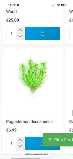 Fish Tank Plants