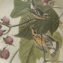 plates Image 7