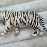 Schleich Wildlife White Tiger Figure 14731 Dirty Please look at the pictures Image 3