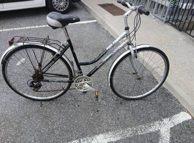 Adults Bike