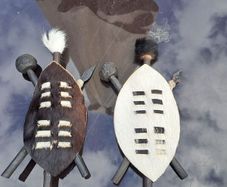 zulu shield