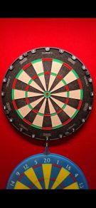 Target Aspar Dartboard