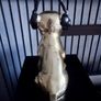 Phono Dog Home Decor Image 4