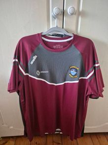 Westmeath GAA Training T-Shirt XL