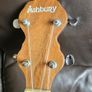 Ashbury Banjolele with bag. Image 4