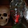 Skulls Image 7