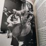 Mstislav Rostropovich Cellist Teacher Legend by Elizabeth Wilson music cello 380 pages hardback with dustcover in very good condition with some signs of wear on the dustcover see photos FREE STANDARD POSTAGE INCLUDED Image 10