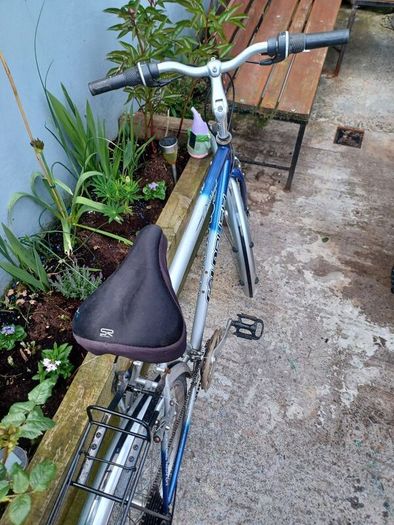 Goldrush bike