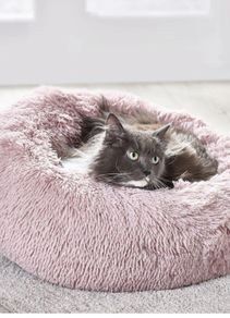Cat Bed