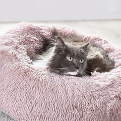 Cat Bed