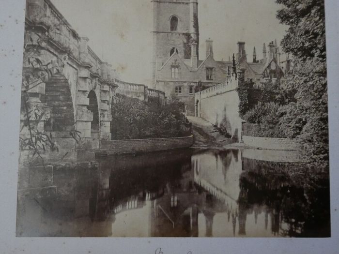 Victorian Photograph Album Photo Card Album  Antique Cabinet Card Photographs Photos 21 Page 42 Photos