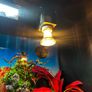 reptile vivarium Image 4