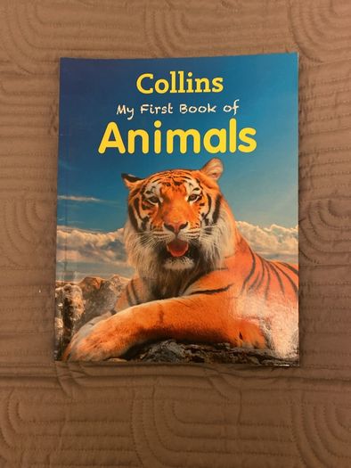 Collins My First Book of (7 books)