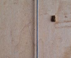 Pendulum for french clock