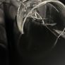 Beautiful set of 6 John Rocha at Waterford Crystal Signature White Wine glasses. Image 7