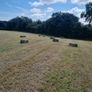 Hay Image 5