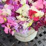 Cut flowers :Sweetpea Image 2