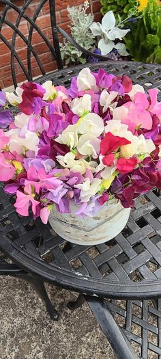 Cut flowers :Sweetpea