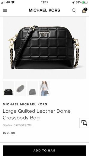 Michael Kors bag