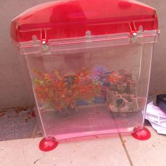 Small fish tank