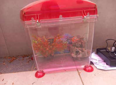 Small fish tank