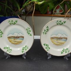 Vintage Souvenir Plate Arklow Pottery Republic of Ireland, Dun Laoghaire (Set)