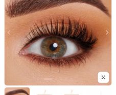 BPerfect Cosmetics Mrs Glam - Mrs Flutter Cluster Lash Set
