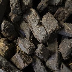 Turf