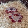 Pair of Newgrange Living glass tealight candle holders in a red flower design Image 7