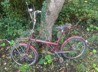 Vintage Raleigh Shopper Bicycle
