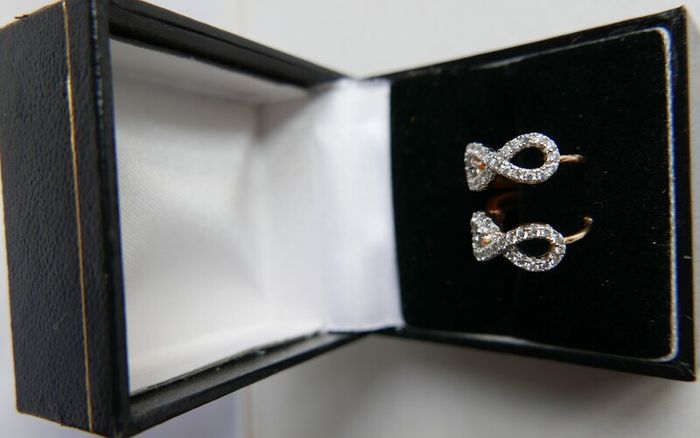 Gold Plated Hyperbola Earrings