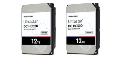 Western Digital Ultrastar DC HC520  24TB (2 x 12TB) 3.5 Inch SATA Hard Drive