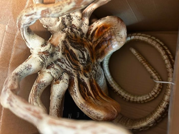 Alien Covenant Facehugger Promotional Replica Limited Edition 866 out of Official RDP Collectible with Certificate