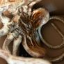 Alien Covenant Facehugger Promotional Replica Limited Edition 866 out of Official RDP Collectible with Certificate Image 8